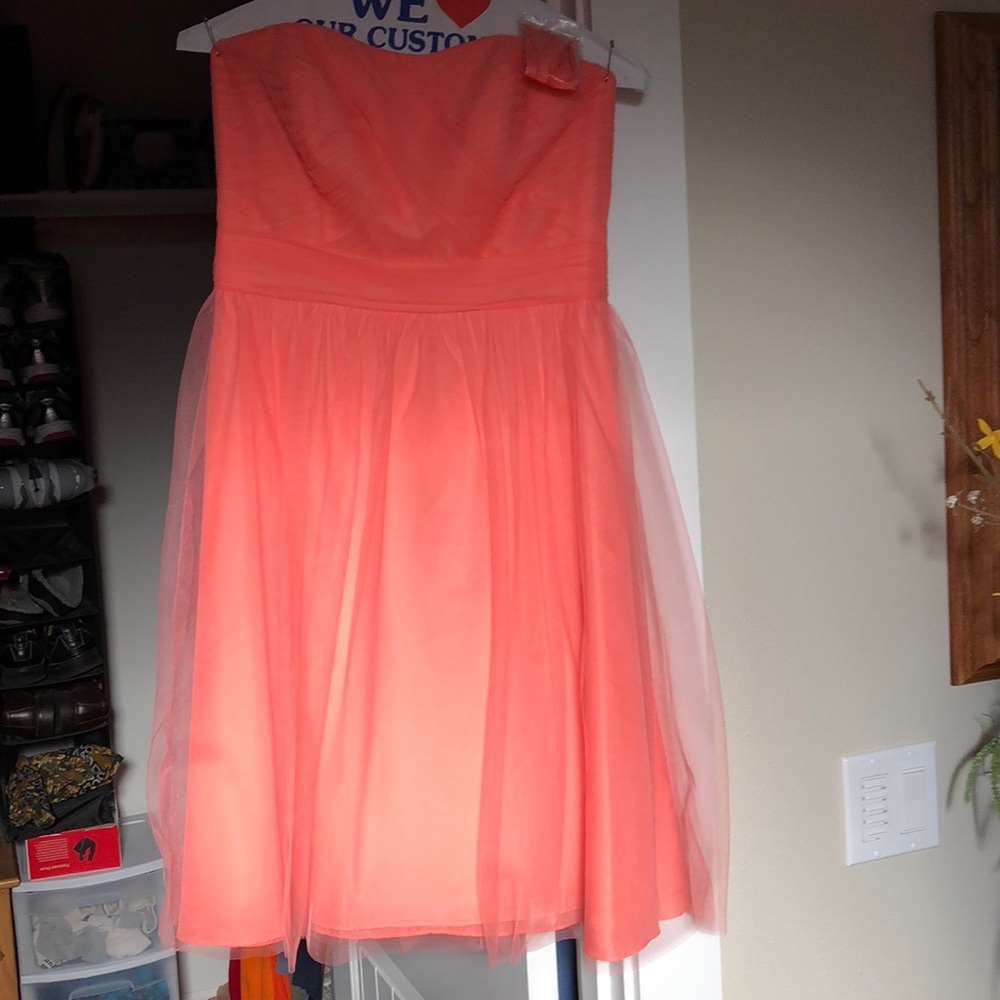 David’s Bridal Bridesmaid dress